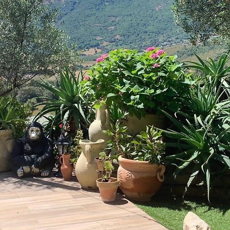 Residence Paradisu Ajaccio Appietto Bagian luar foto