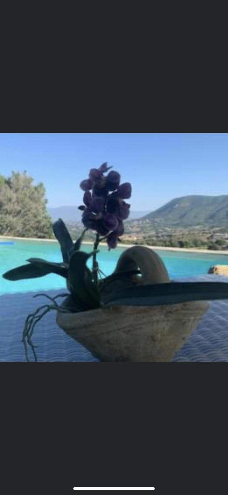 Residence Paradisu Ajaccio Appietto Bagian luar foto