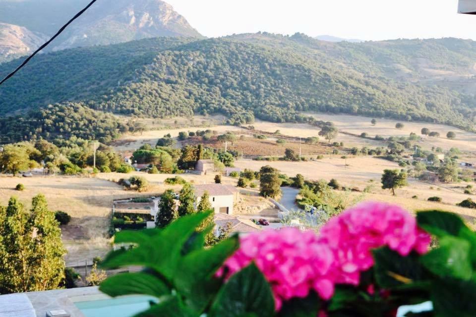 Residence Paradisu Ajaccio Appietto Bagian luar foto