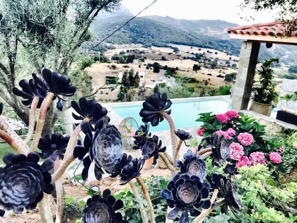 Residence Paradisu Ajaccio Appietto Bagian luar foto